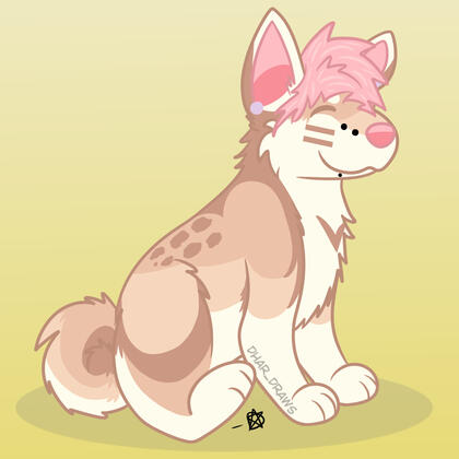 momochii-kun
